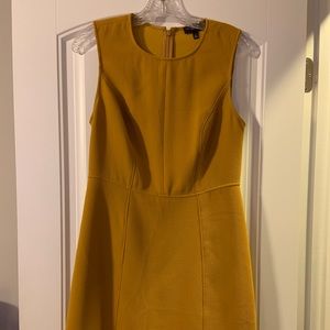 The Limited Gold A-Line Dress Size 4